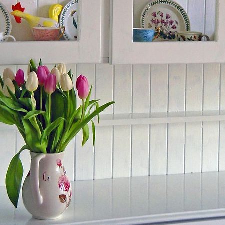 غالاشيلز Craigielea Bed & Breakfast المظهر الخارجي الصورة
